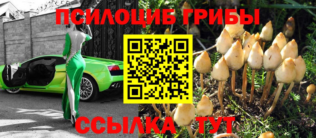 Псилоцибиновые грибы ЛСД Грязи