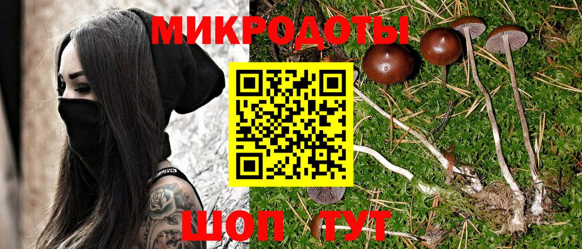 Грязи  Галлюциногенные грибы Cubensis  Псилоцибиновые грибы Magic Shrooms  Вход с VPN 